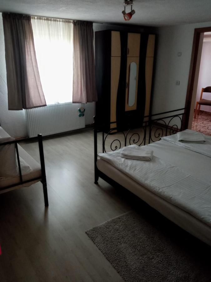 Casa Iuliana Hotel Subcetate  Bagian luar foto