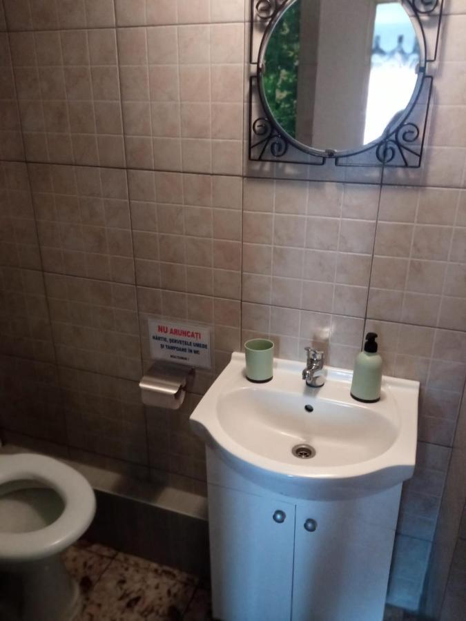 Casa Iuliana Hotel Subcetate  Bagian luar foto