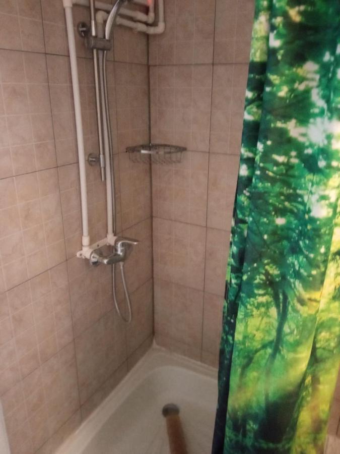 Casa Iuliana Hotel Subcetate  Bagian luar foto